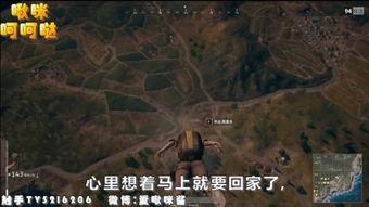 魔鬼终结者2在线观看,审判日在线观影指南  第2张